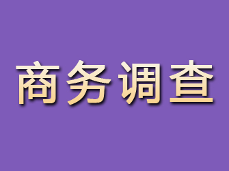 宁江商务调查